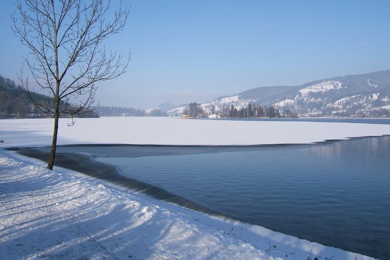 winter_Januar_2010_148.jpg  