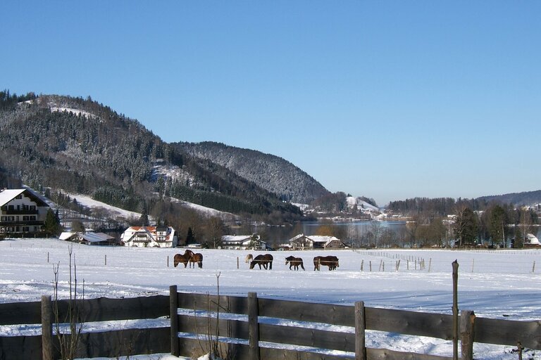 winter_Januar_2010_049.jpg  