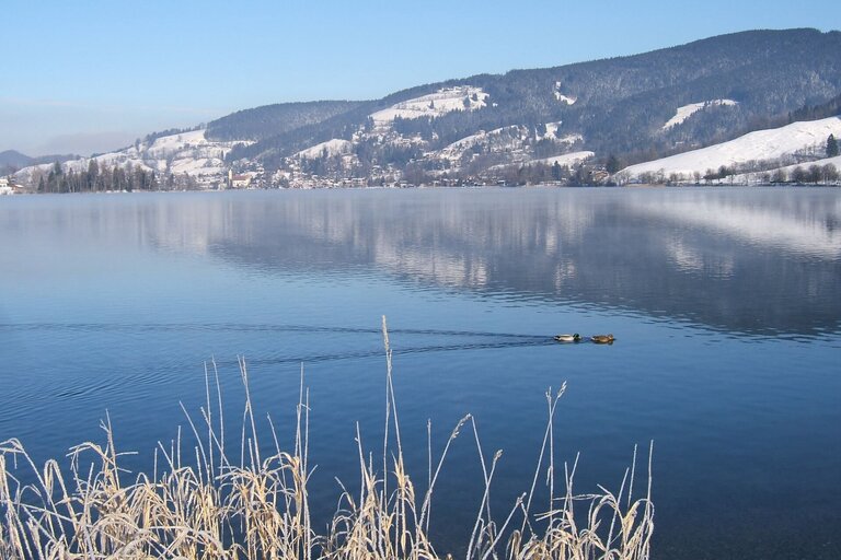 winter_Januar_2010_065.jpg  